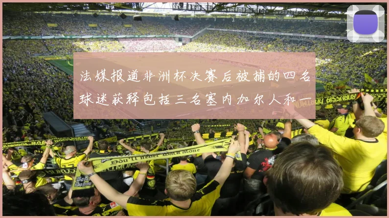 法媒报道非洲杯决赛后被捕的四名球迷获释包括三名塞内加尔人和一名法国人