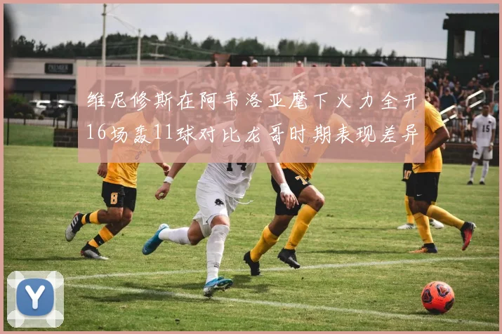 维尼修斯在阿韦洛亚麾下火力全开16场轰11球对比龙哥时期表现差异明显