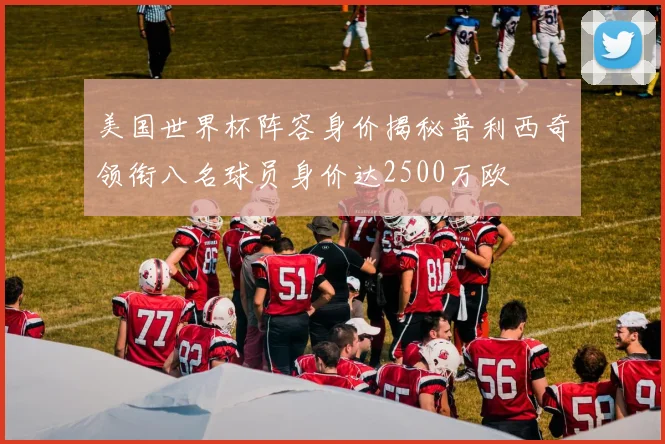 美国世界杯阵容身价揭秘普利西奇领衔八名球员身价达2500万欧