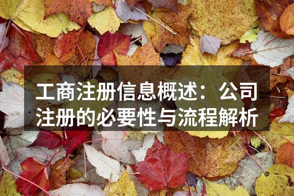 工商注册流程图示