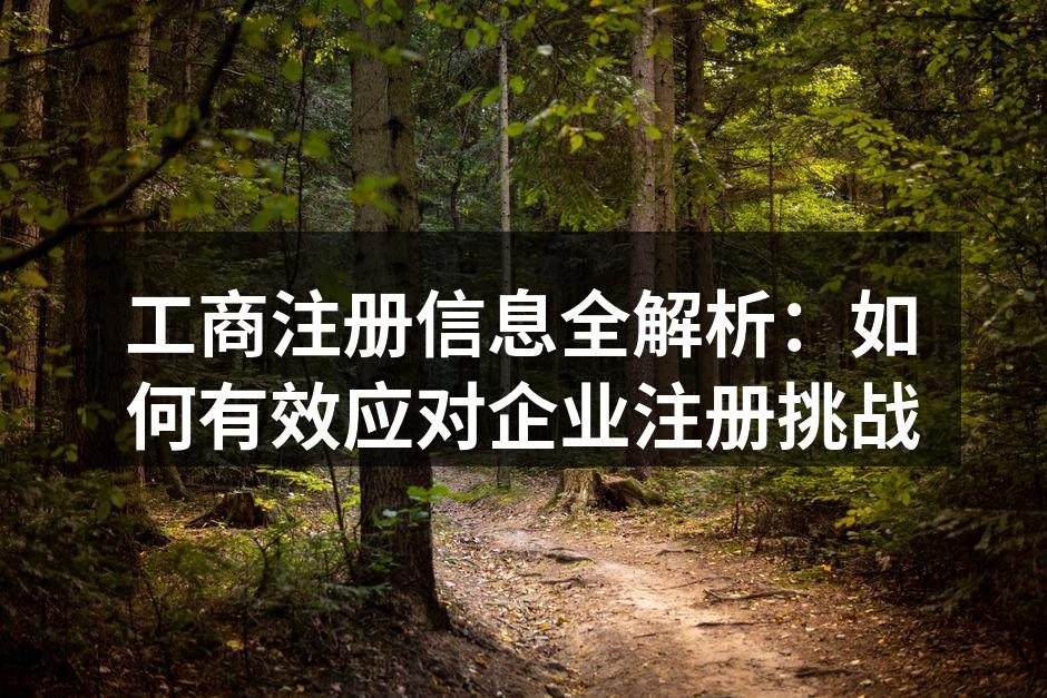 工商注册信息全解析：如何有效应对企业注册挑战