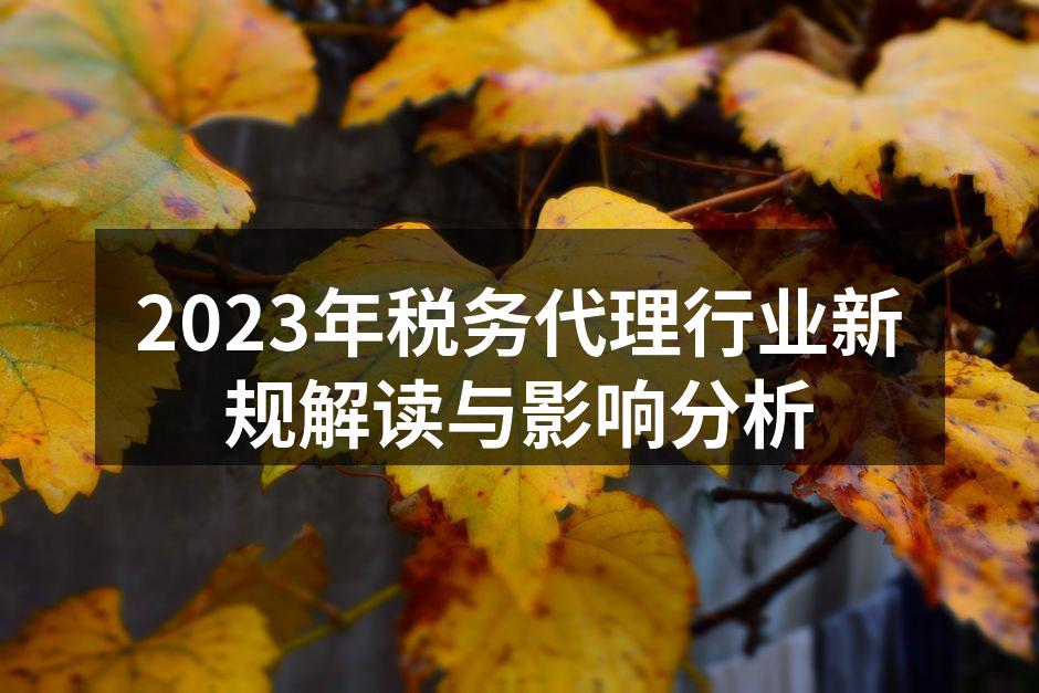 2023年税务代理行业新规解读与影响分析